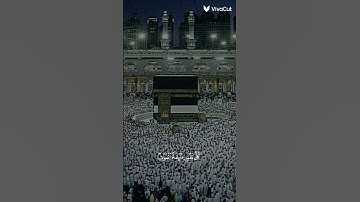 كل نفس ذائقة الموت 🙏💛 #القرآن_الكريم #تلاوة_خاشعة #عبدالرحمن_مسعد #اكسبلور #trending #fyp #quran #
