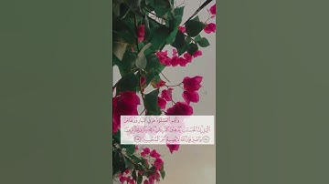 ﴿إنّ الحسنات يذهبن السيئات﴾ 🌸 سورة هود
