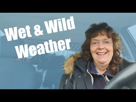 Wet and Wild Sunday Morning Walk
