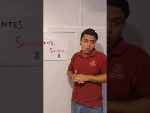 Video: ¿Son los índices una fuente secundaria?