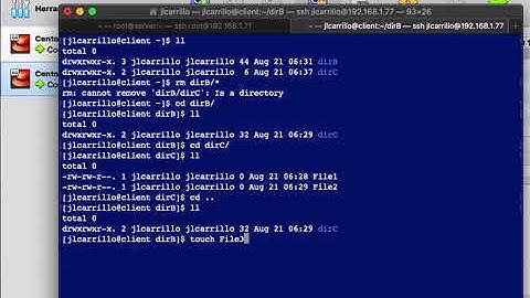 Borrar archivos y directorios - RedHat / Rocky Linux / Alma Linux / Oracle Linux / CentOS