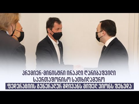 შეხვედრა საერთაშორისო სათხილამურო ფედერაციის გენერალურ მდივან მიშელ ვიონთან