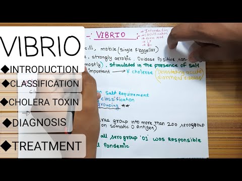 Video no.-14 Vibrio cholera ,  introduction ,classifications, cholera toxin ,diagnosis, treament