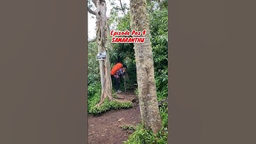 Part 11 | GUNUNG SLAMET VIA BAMBANGAN | Jalur Mistis Menuju Pos 4 Samaranthu #ytshorts #gunungslamet