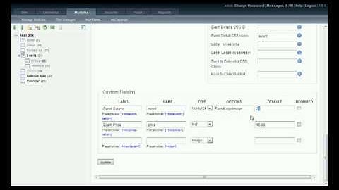 mxCalendar An Introduction to Custom Fields