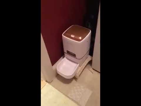 BELOPEZZ 6L Smart Pet Automatic Feeders for Dog and Cat Food Dispenser Review, Highly Recommend