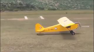 Fisher Super Koala - Piper Cub Doppelganger