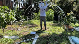 Cheap Amazon Greenhouse Set Up