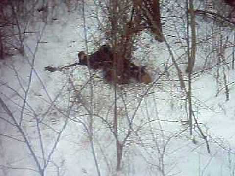 Dan hits his balls on a tree!
