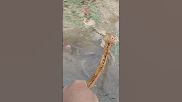 Remove Debris Clogged Culvert Drain #culvert #unclog #drain #remove #shorts