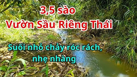 #254  Suối nhỏ yên tĩnh. Vườn Sầu Riêng giáp suối siêu đẹp. Cách Bảo Lộc chỉ 15km.