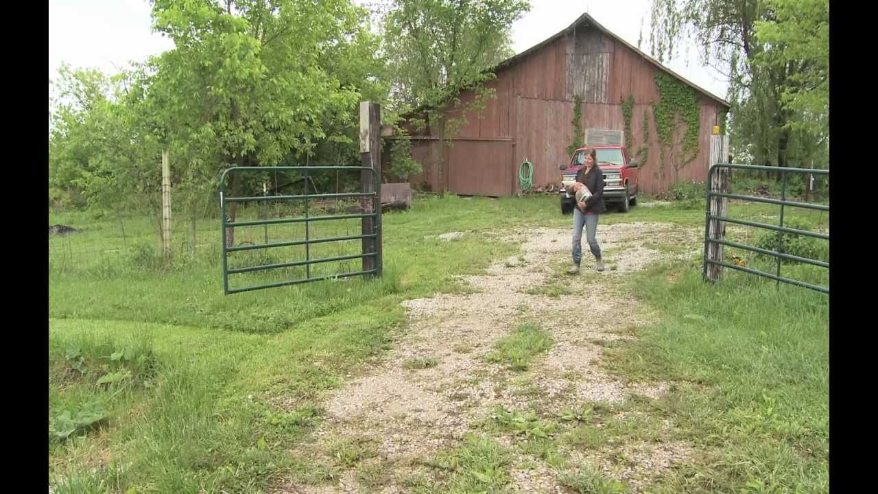 MogoOrganic Uses Extension Resources to do it the Right Way