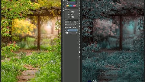 photoshop background effects 2Strip.look design