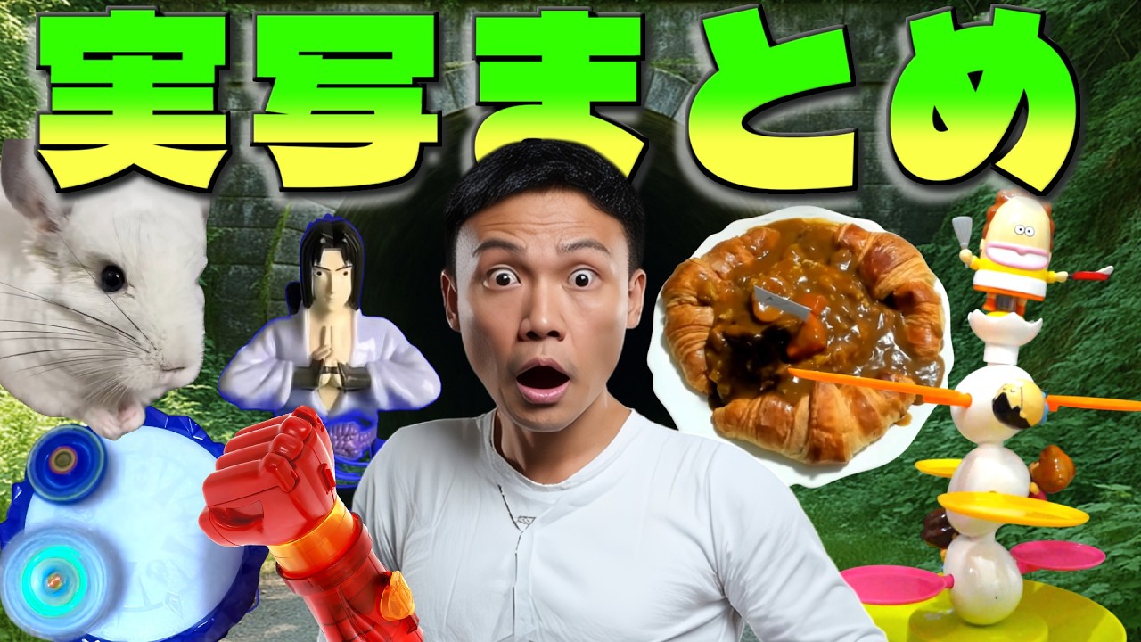 【フリーダム】ゲーム系チャンネルなのに何故かあふれ出す実写パートまとめ動画【一気見】