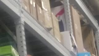 Birds in Lowes