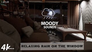Rainfall Harmony: One Hour of Peaceful Rain Sounds | Moody Sounds