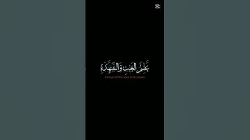 المنشاوي سوره القصص#المنشاوي #هو_الله #سورة_القصص