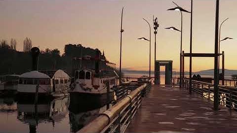 Navigate pre-intermediate video report 1