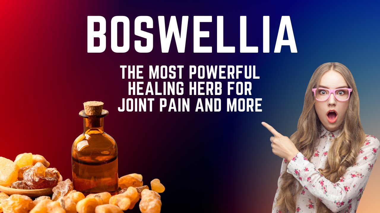 Boswellia The Most Powerful Healing Herb For Joint Pain And more 