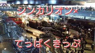 新幹線で行く鉄道博物館【シンカリオン×てっぱくきっぷ】