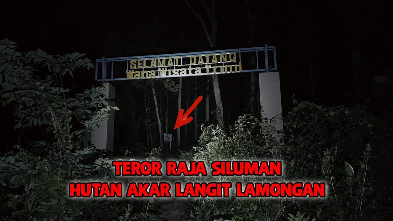 ANGKERNYA HUTAN AKAR LANGIT LAMONGAN || dikuasai genderuwo hingga anak2 setan !!!