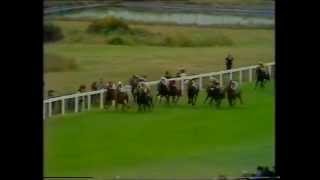 1975 Benson and Hedges Eclipse Stakes