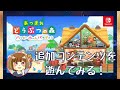 アプデ後のあつもり！ハニワを求めて&追加コンテンツ遊んでみる♪【あつまれどうぶつの森】