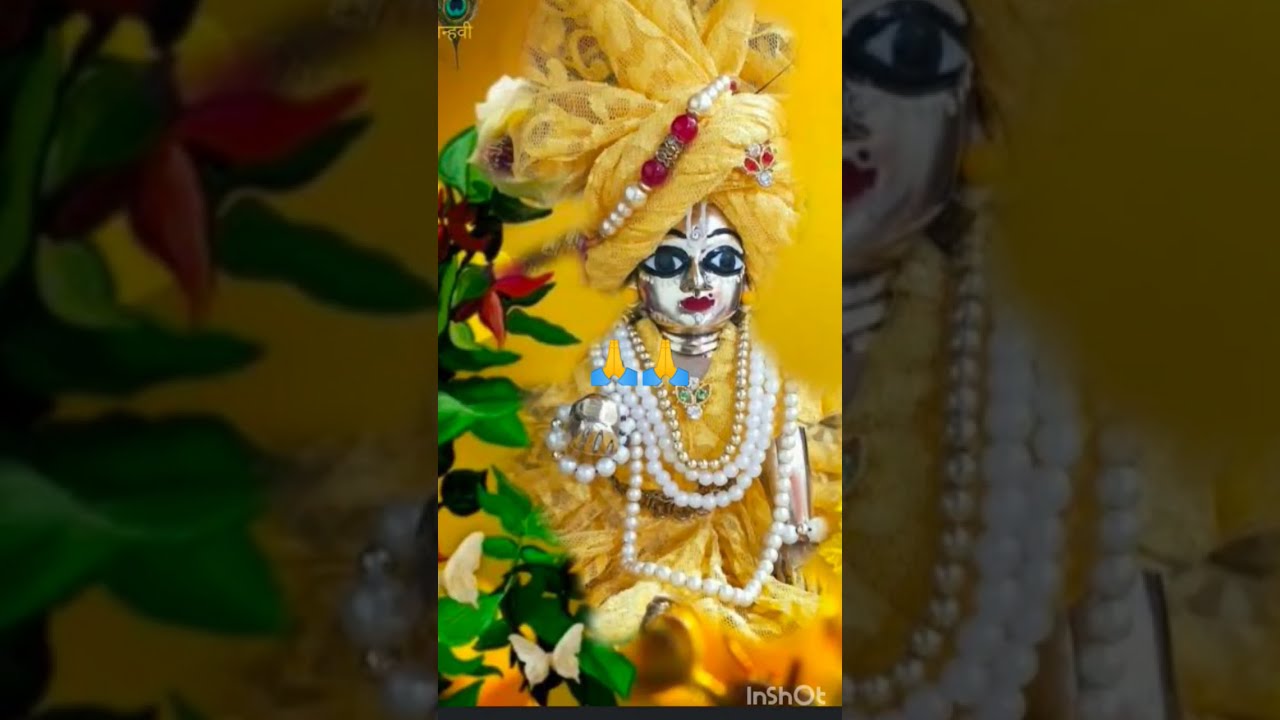 Joi Gopal Sona Shorts Please Subscribe To My Channel 