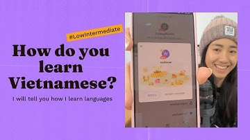 How do you learn Vietnamese?  - Comprehensible Input - Low Intermediate
