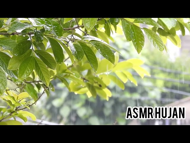 ASMR hujan 