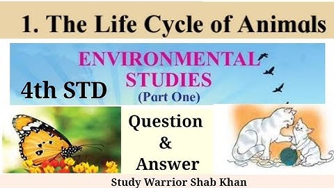 4th STD| EVS-1| Chapter 1.The Life Cycle of Animal|Question and Answer|English medium|#evs #shabkhan