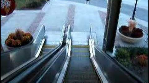 Escalator of Doom!