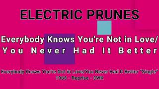 Watch Electric Prunes Everybody Knows Youre Not In Love video