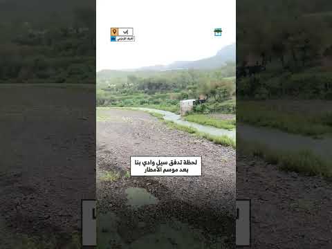 مشاهد من المهرة: توترات وأصوات احتجاجية