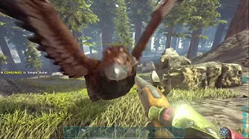 Ark-PRIMITIVE PLUS (Part 1)