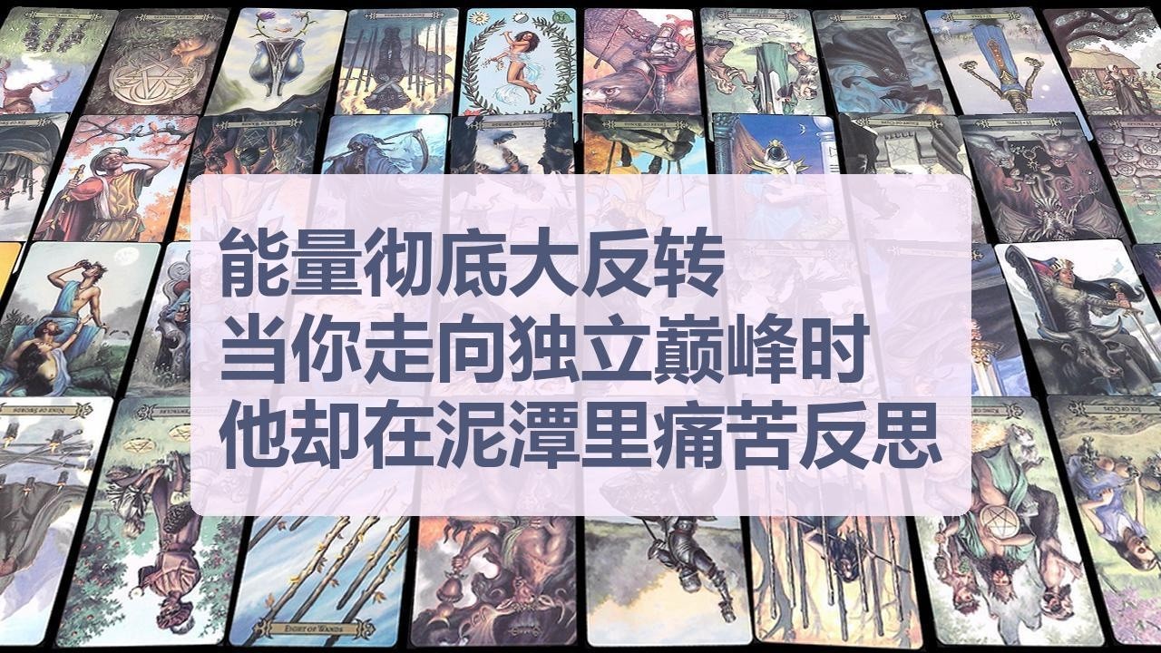 Tarot✨能量彻底大反转,当你走向独立巅峰时他却在泥潭里痛苦反思