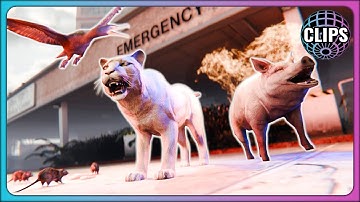 Playing as a man eating lion and a demonic pig in GTARP | GTA 5 RP | UnscriptedRP