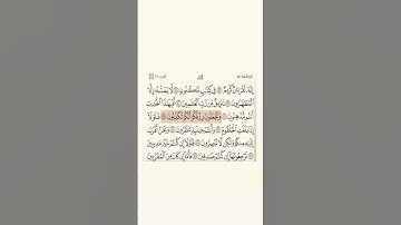 #سورة_الواقعة ٧٧-٨٧