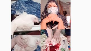 Ghar Main Murghi Zibah Karny Ka Sahi Tareka By Gull Baji Vlogs