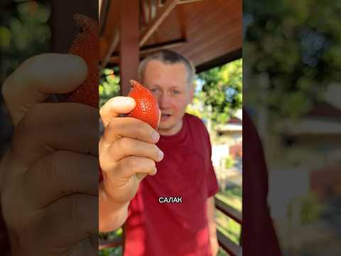 Новый ДЕНЬ новый ФРУКТ: обзор фрукта САЛАК #еда #тайланд #юмор #обзор