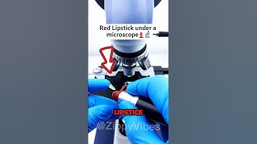 Lipstick under the microscope
