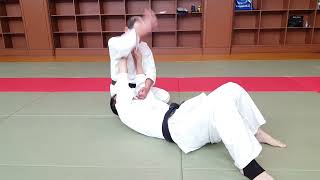 Budo Training In Aikido　No 11 Kubihineri　首捻