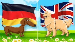 Dog Breeds From Different Countries | Dogs for Kids