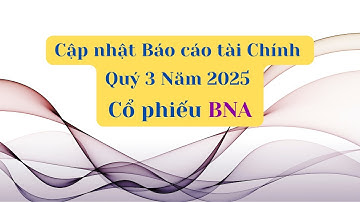 Cập nhật Báo cáo tài chính Quý 3 Năm 2025 của cổ phiếu BNA