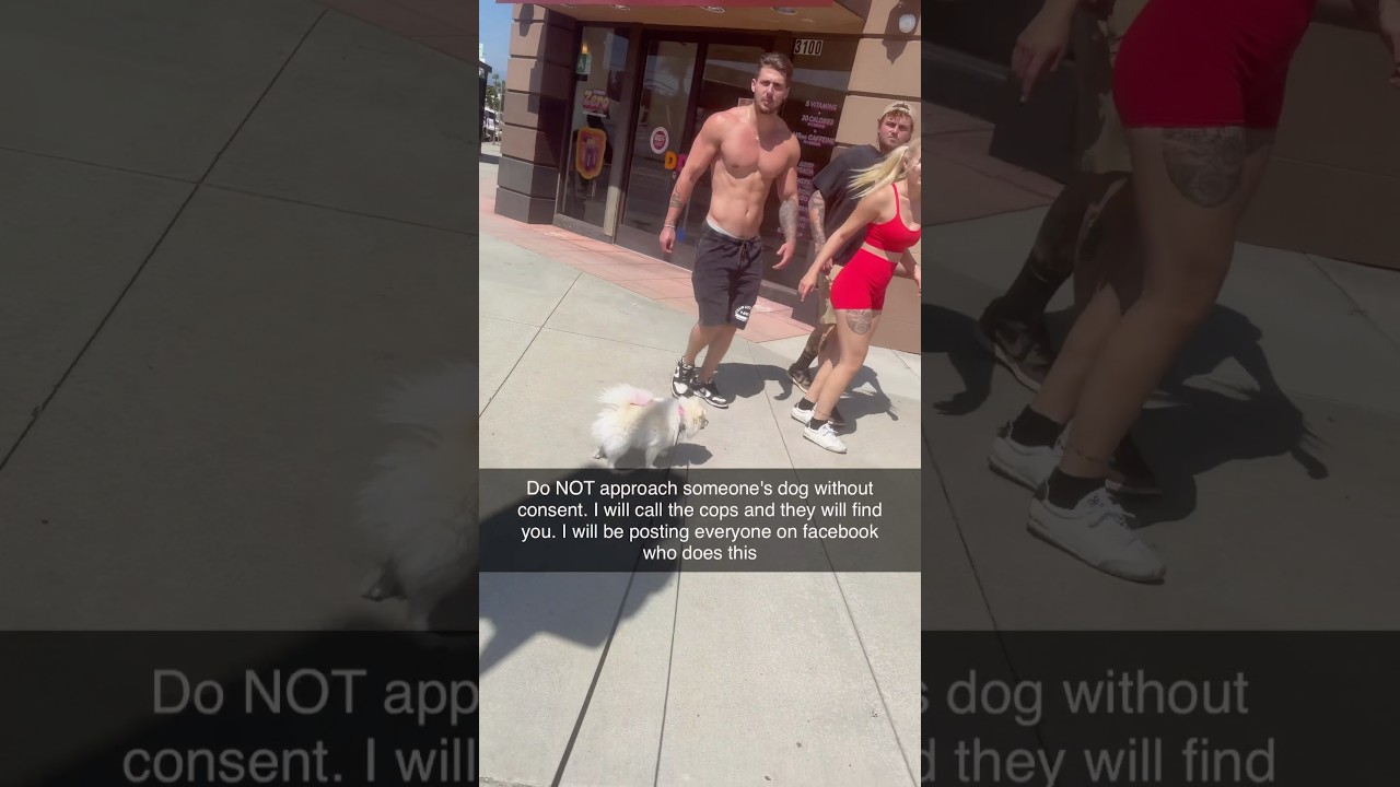 Do NOT approach someone's dog without consent￼