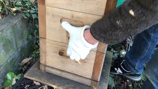 We protect beehive box against the cold