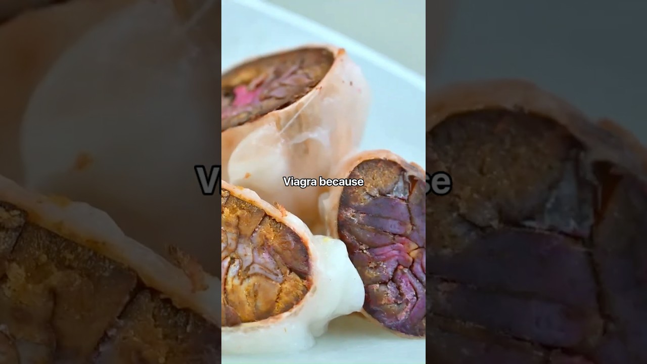 Is Chocolate Really Better Than…? The Science Explained