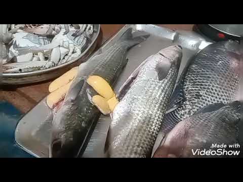 السمك البوري المبطرخ والكابوريا مشوى واحلى اكله بحرية