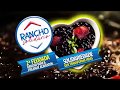 2 Feijoada Rancho Bom &amp; Frilemay Alimentos