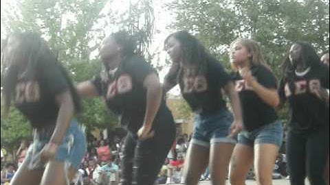 Lambda Rho Chapter of Delta Sigma Theta Sorority Inc.